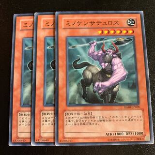 ミノケンサテュロス ノーマル