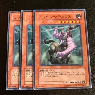 ミノケンサテュロス ノーマル