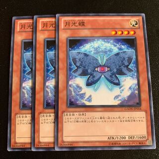 月光蝶 ノーマル