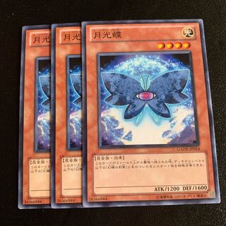 月光蝶 ノーマル 1枚