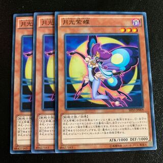 月光紫蝶 ノーマル