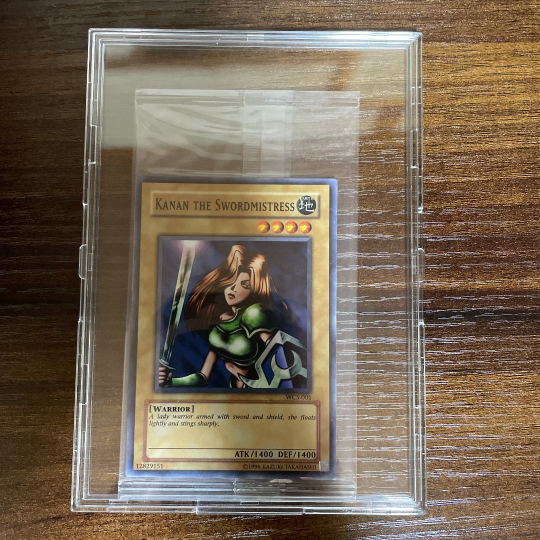 女剣士カナン　wcs 未開封