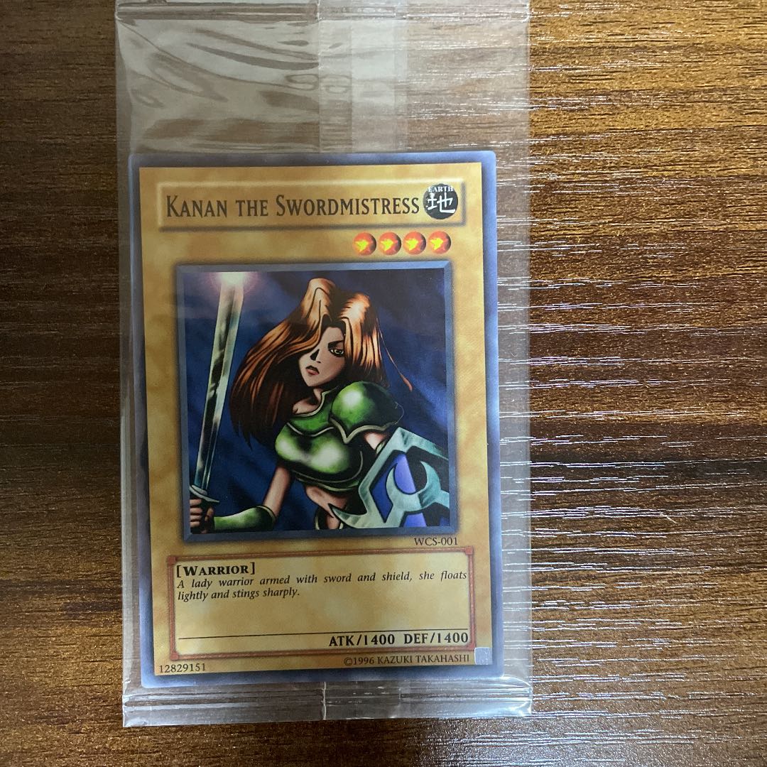 女剣士カナン　wcs 未開封