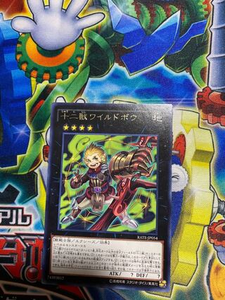 十二獣ワイルドボウ レア