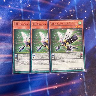 SRドミノバタフライ ノーマル　3枚