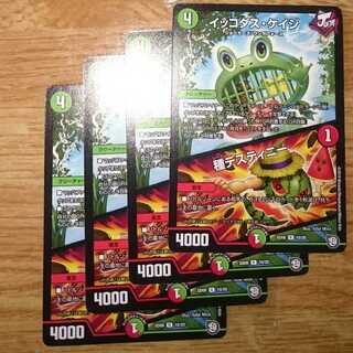 イッコダス・ケイジ｜種デスティニー