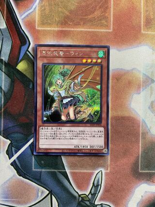 憑依装着-ウィン