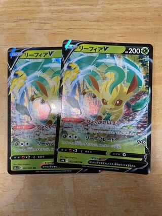 リーフィア セット