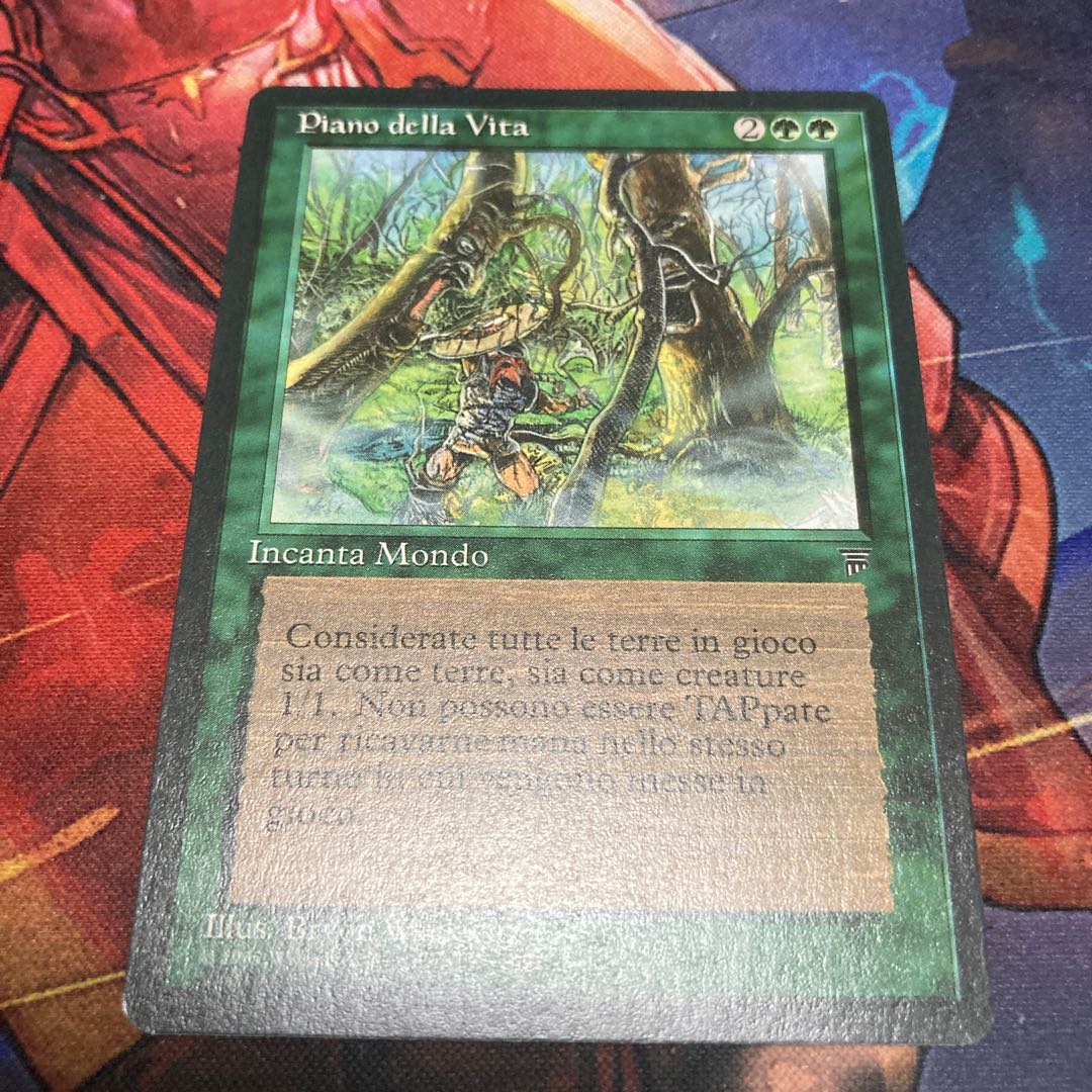 living plane イタリア語 美品 1枚