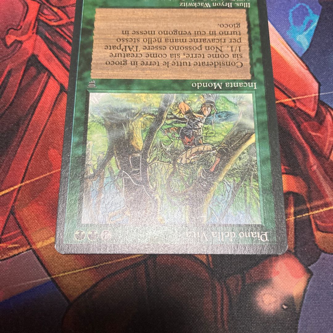 living plane イタリア語 美品 1枚