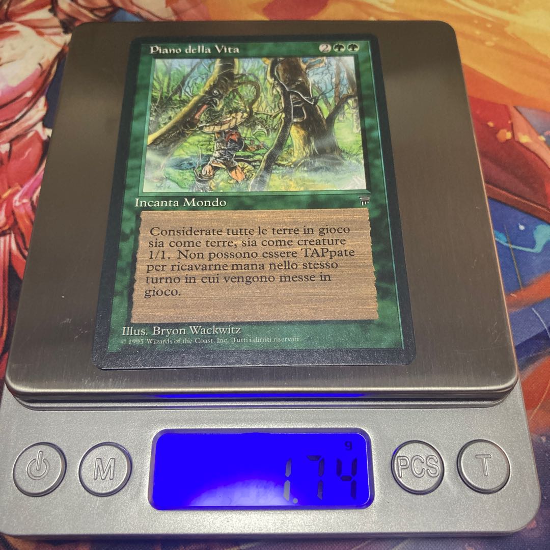 living plane イタリア語 美品 1枚