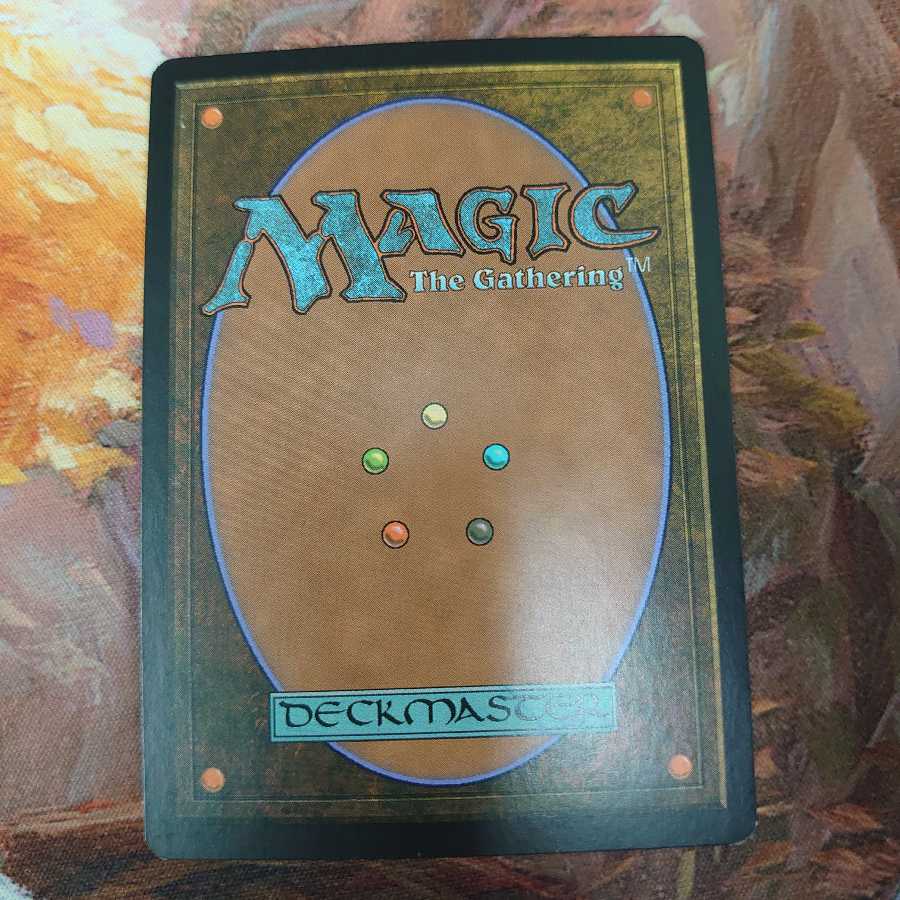 師範の占い独楽 3枚まで