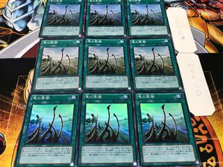 竜の霊廟 スーパー 9枚セット てら