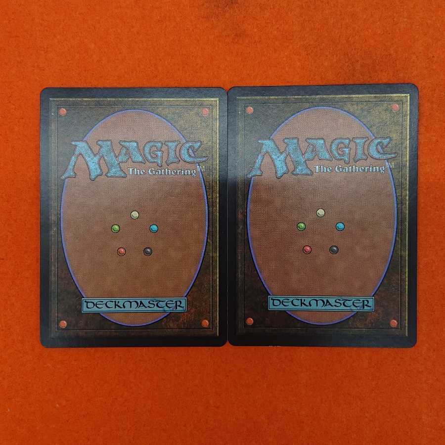 MTG2 ヤヴィマヤの沿岸 英語版 APC 2枚セット