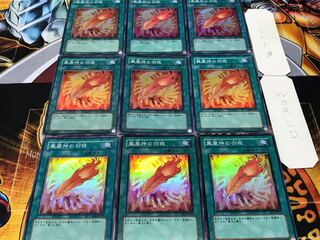 鳳凰神の羽根 スーパー 9枚セット てら