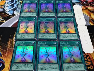 宝玉の樹 スーパー 9枚セット てら