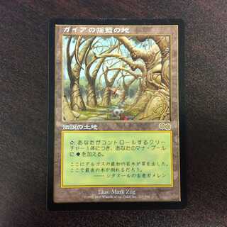 （プレイ用）ガイアの揺籃の地　USG