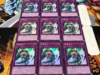 Chivalry Super 9-piece set Tera 1枚