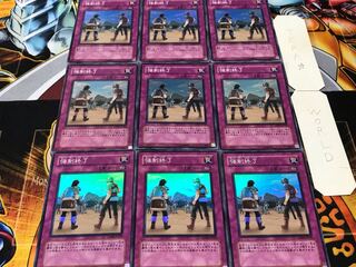 Scrubbed Raid Super 9-Piece Set Terra