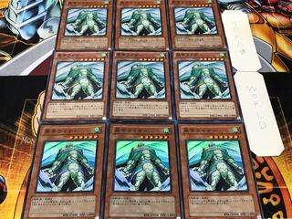 Raiza the Storm Monarch Super Set of 9 Tera