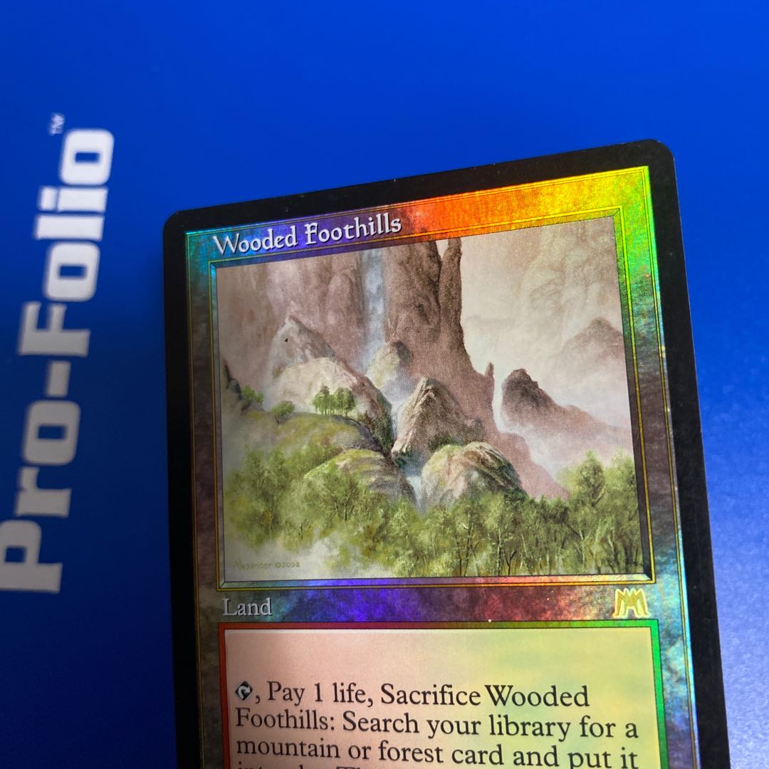 15日までこーへい様専用 樹木茂る山麓 英語版foil