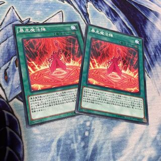 暴走魔法陣 ノーマル　2枚