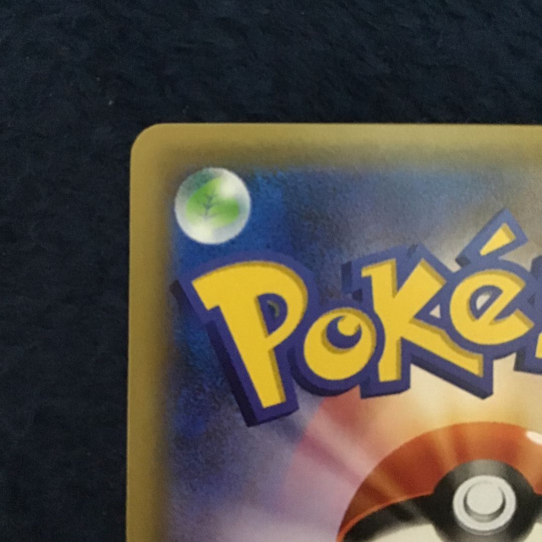 Pikachu Rayquaza in poncho black