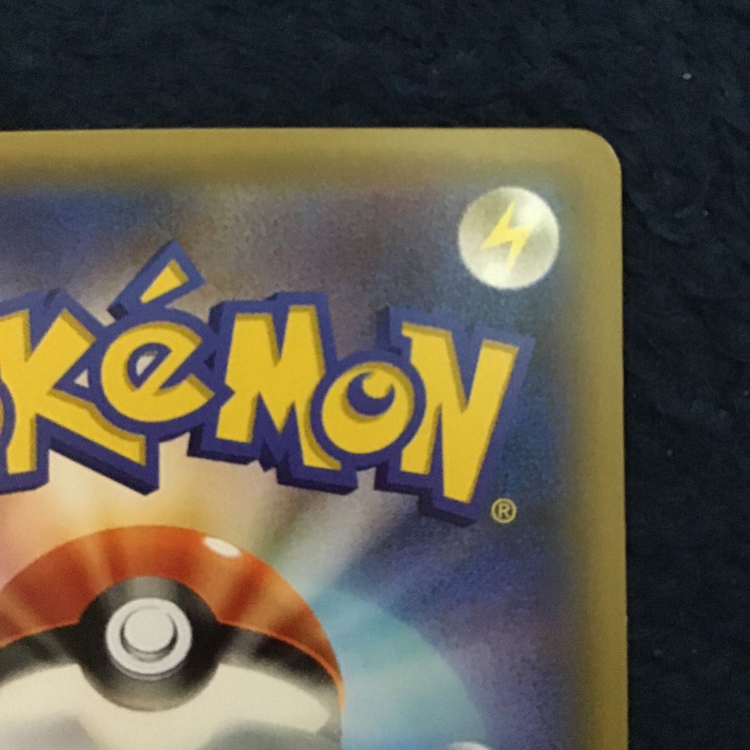 Pikachu Rayquaza in poncho black