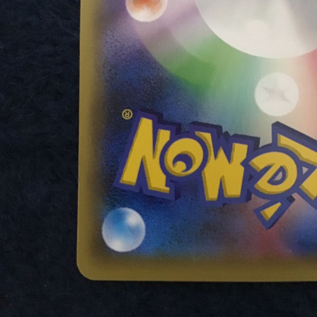 Pikachu Rayquaza in poncho black