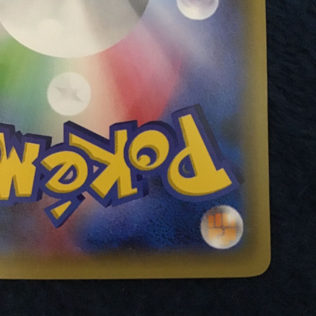 Pikachu Rayquaza in poncho black