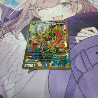 切札勝太&カツキング -熱血の物語- DSR