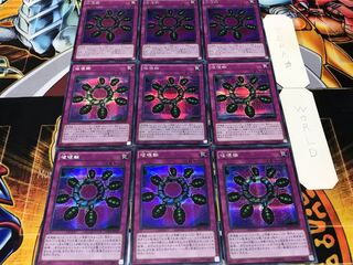 Ring of Destruction Secret 9-card set Tera