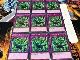 イタクァの暴風 ミレニアム 9枚セット てら