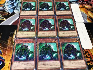 Panther Warrior Millennium 9-Piece Set Tera