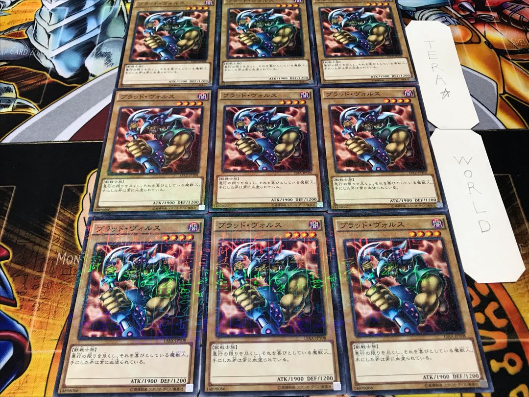 Vorse Raider Millennium 9-piece set Tera