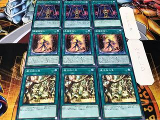 魔法族の里 黒魔導強化 ディメンション ノーマル 各3枚セット まとめ