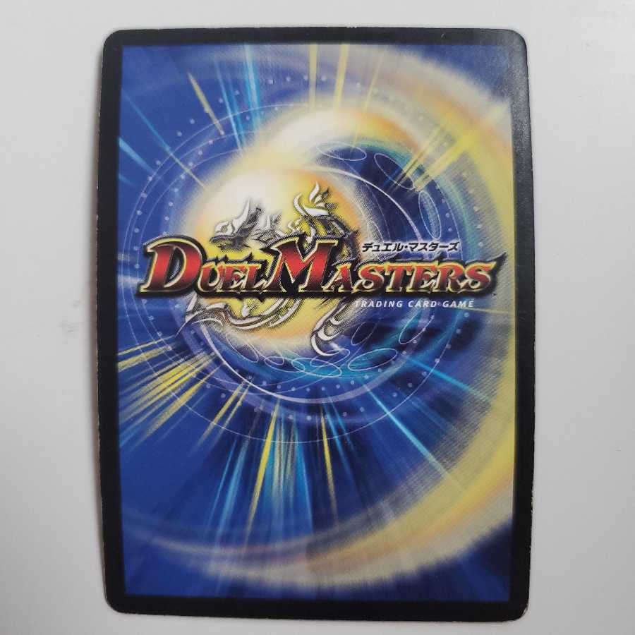 知識の破壊者デストルツィオーネ 粒ホイル