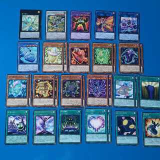 @Ignister Card Set 1枚