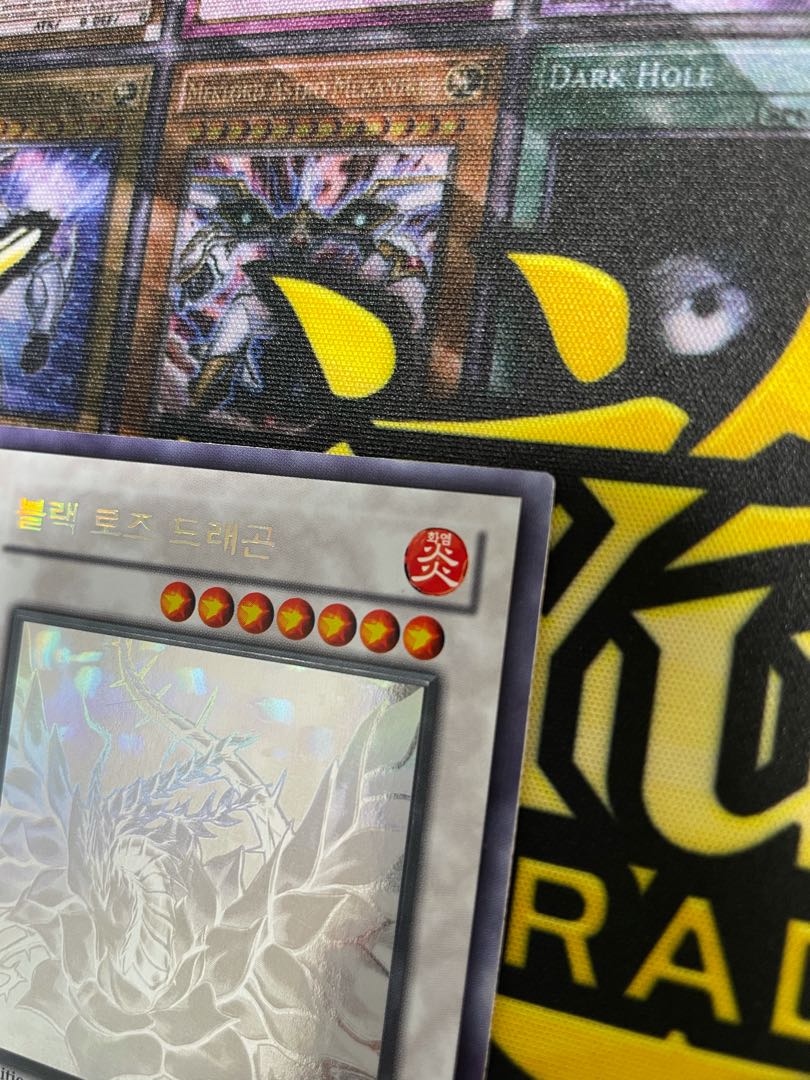 遊戯王 ブラックローズドラゴン ゴースト 韓国 1st