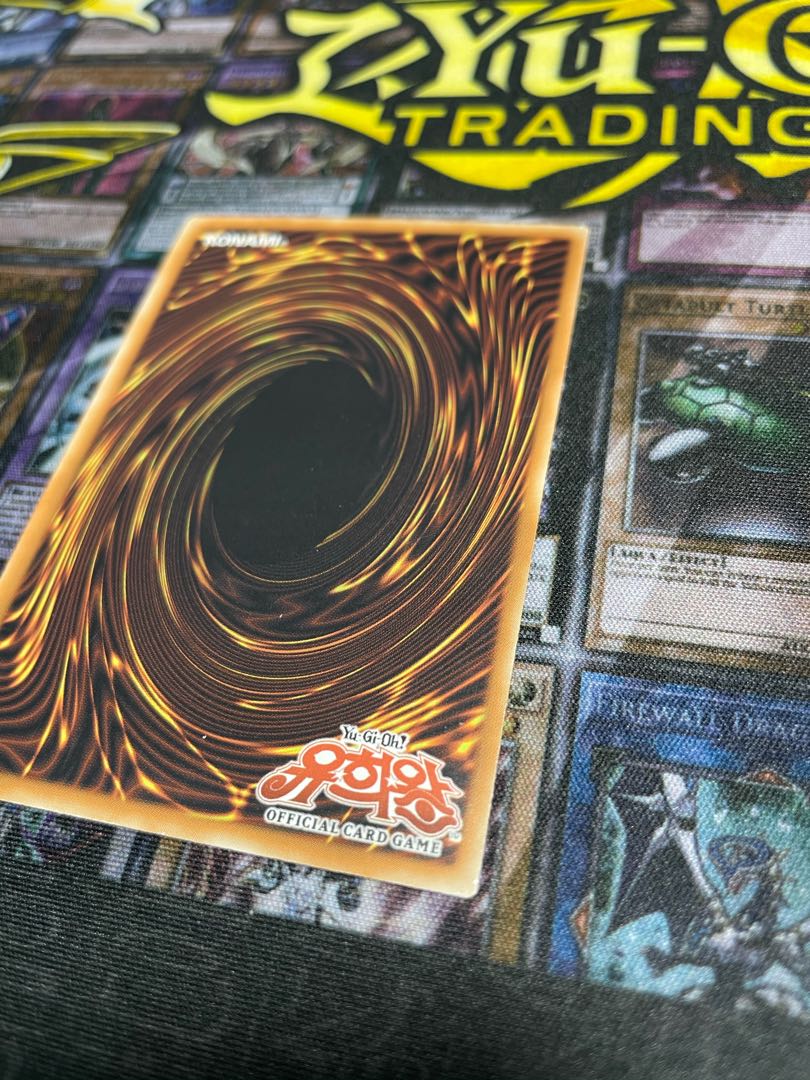 遊戯王 ブラックローズドラゴン ゴースト 韓国 1st