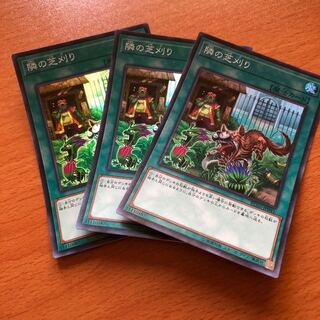 隣の芝刈り スーパー3枚 PSYフレームロードΩスーパー1枚