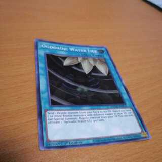 溟界の蛇睡蓮 海外