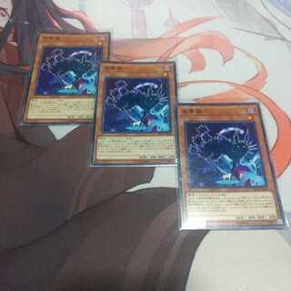 金華猫 ノーマル