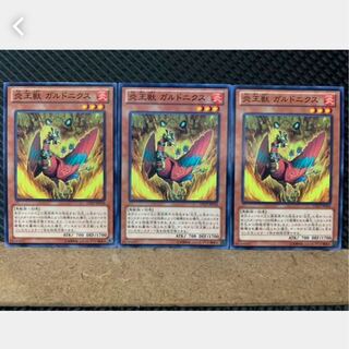 【ぽぽたん】遊戯王 3241 炎王獣 ガルドニクス 3枚ノーマル