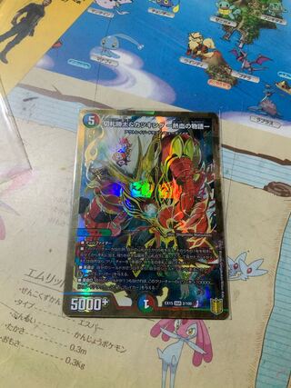 切札勝太&カツキング -熱血の物語- DSR