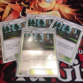 トキワの森 4枚セット