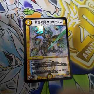 制御の翼 オリオティス R-foil