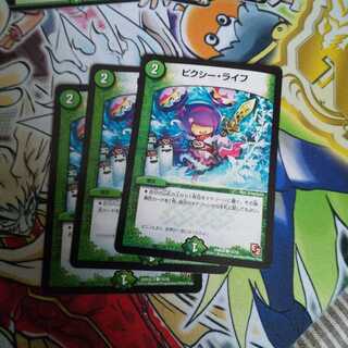 ピクシー・ライフ C