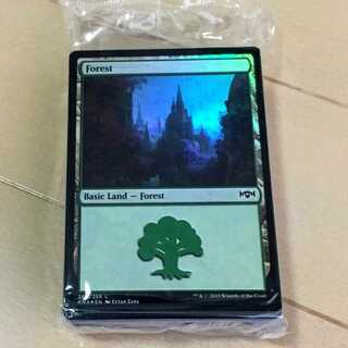 【ラヴニカの献身】 基本土地パック, Foil5枚 計80枚