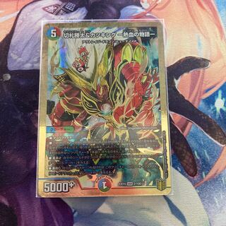 切札勝太&カツキング -熱血の物語- DSR